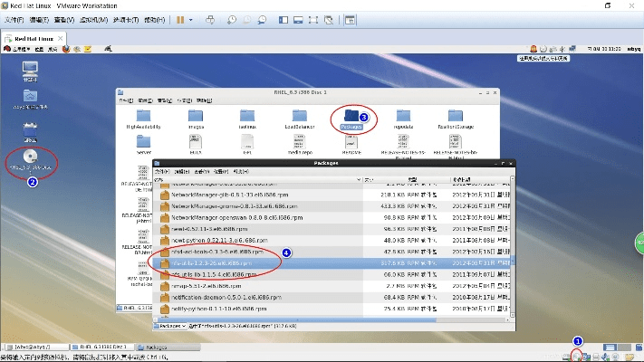 nfs查看版本,专业数据解释定义-NE版_v7.355