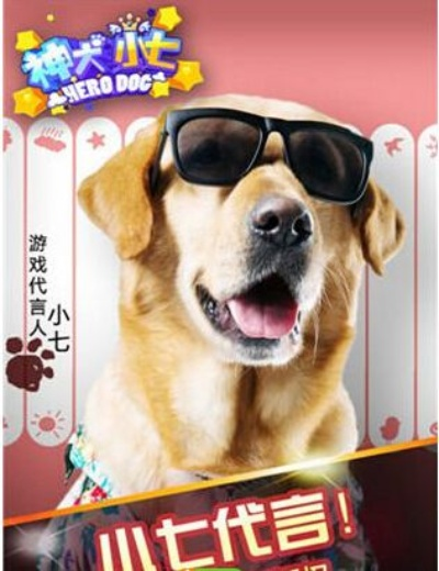 网络安全顾问眼中的神犬小七官方手游下载软件分析