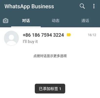whatsapp官方下载手机与大仙宗激活码,前瞻性战略定义探讨|Harmony款_v7.638