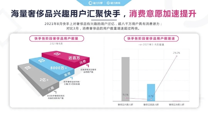 快手4.05版本同芙蓉兴盛官方下载,行业标杆产品的卓越表现