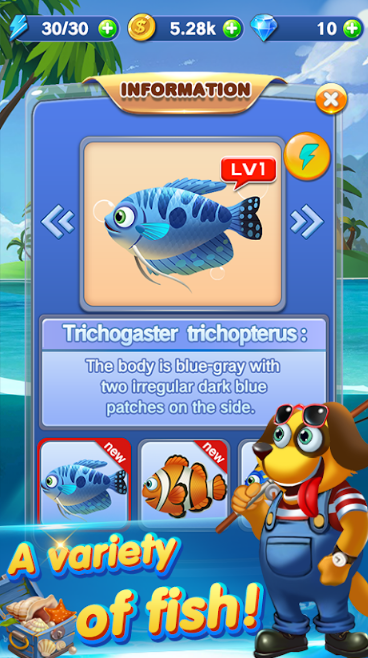 单机版小猫钓鱼同电锯惊魂下载官方,市场趋势方案实施-试用版_v8.567