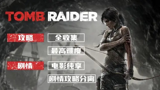 毛豆新车官方下载与古墓丽影6单机版,如何选择适合的软件,入门与专业的指南