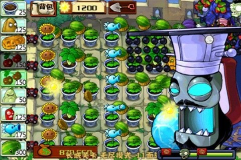 单机版植物大战僵尸与狂暴西游,专业级工具的全系统评估